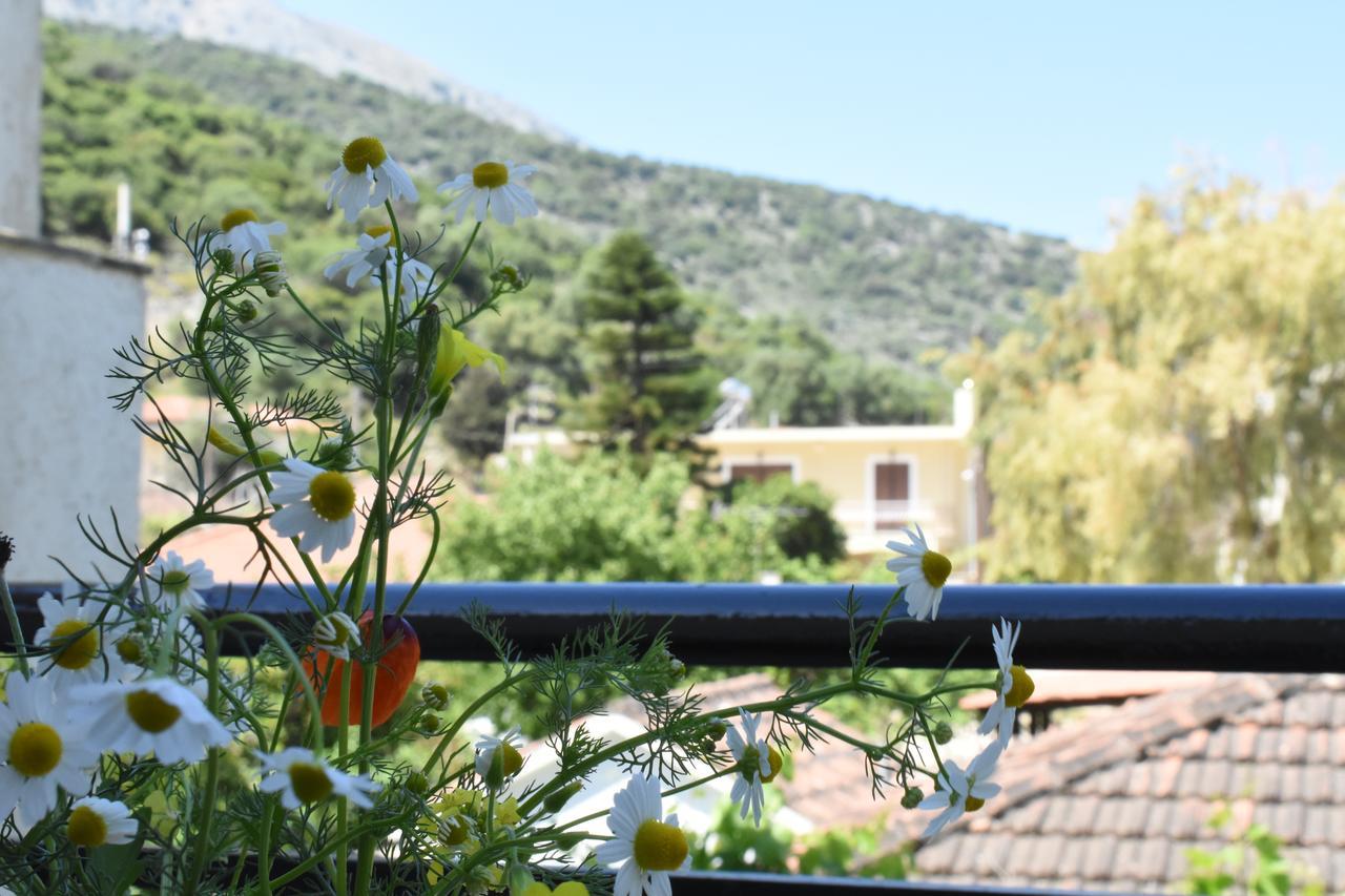 Starvillas Apartments And Studios Agia Efimia Eksteriør billede